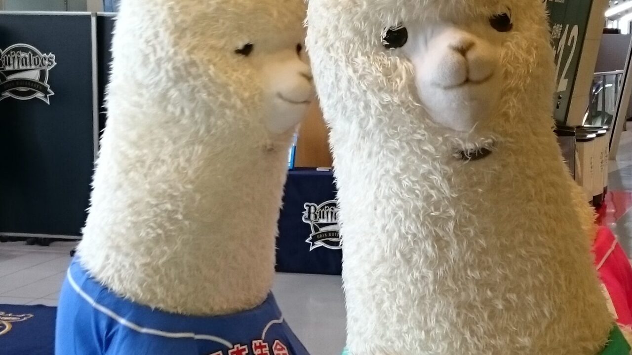 セカパカくん